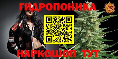 мяу мяу мука Кулебаки
